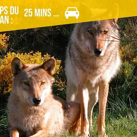 Le Sabot - Netflix/wi-fi Fibre/terasse - 4 Pers Banassac