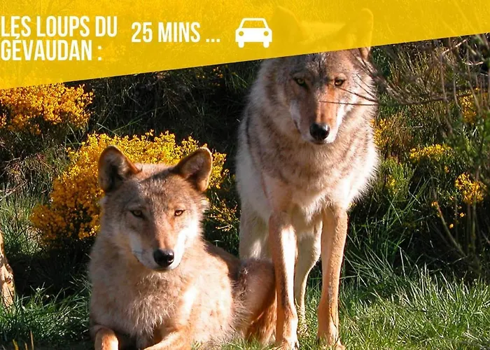 Le Sabot - Netflix/wi-fi Fibre/terasse - 4 Pers Banassac